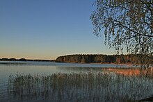 View of the fjärd with the base of a forest and the first plain of the humid zones