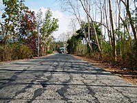 Street view and landscape