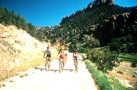 Cycling along the Gold Belt Tour Scenic and Historic Byway