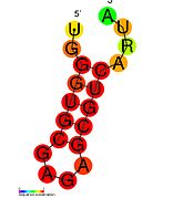 HIV_SL4: Secondary structure taken from the Rfam database. Family RF01382