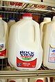 Blow molded plastic bottle of milk, often called a milk jug in America