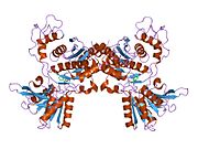 1iss​: Kristalna struktura ekstracelularnog domena metabotropnog glutamatnog receptora 1 u kompleksu sa antagonistom