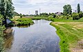 Naturschutzgebiet Alter Rhein