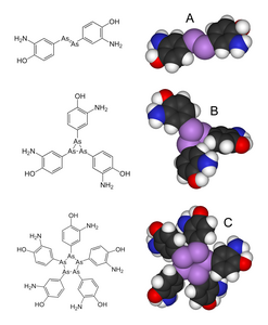 Inizialmente si pensò che la struttura del salvarsan fosse simile all'azobenzene (A), ma studi cristallografici pubblicati nel 2005 indicano che si tratta di una miscela di un trimero B e di un pentamero C