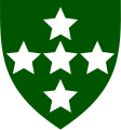 Southern Command Intelligence Corps (Green with white stars)