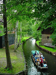 Promenade en barque à travers la forêt