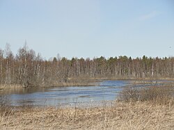 Визьма недалеко от деревни Климшин Бор