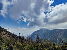 Cedar Reserve of Slunfeh