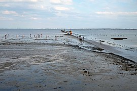 Le passage du Gois.