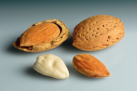 Almonds, by Iifar