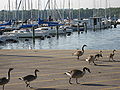 Bayfront Park