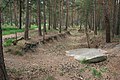 Image 93Pineferous forest of the sandy Bagshot Formation spanning parts of four boroughs towards the north-west and in the far west of the county, with defensive positions for historic army training near Deepcut and Pirbright (from Portal:Surrey/Selected pictures)