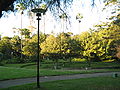 Garden in Callan Park near the Kirkbride Complex buildings