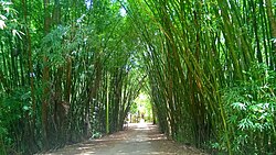 Entrance to Guajataka Scout Reservation in Guajataca