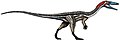 Coelophysis was one of the most abundant theropod dinosaurs in the Late Triassic
