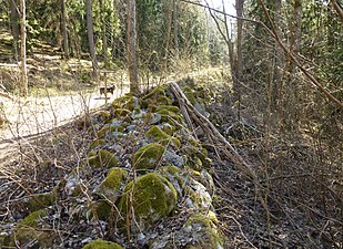 Stödmur från 1650-tals vägbygge vid Dalkarlsbacken, sedd mot syd