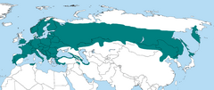 Distribución global de Dendrocopos minor.