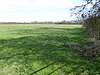 Dungee Corner Meadow