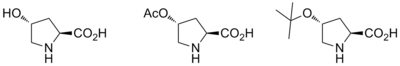 Examples of proline catalysts