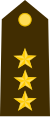 Colonel