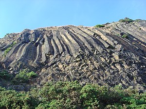 סמסונס ריבס (צלעות שמשון) - מחשוף של עמודי בזלת המצוי במתחם הגעשי של פארק הולירוד באדינבורו, סקוטלנד.