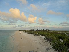 Flora, Fauna and landscapes from The Thirteen Islands of St. Brandon