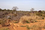 Nationalpark Kéran und Oti-Mandouri-Wildtierreservat