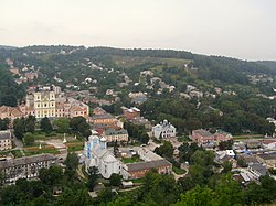 Кременецька обласна гуманітарно-педагогічна академія імені Тараса Шевченка (вид з гори Бони)