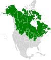 Aire de répartition nord-américaine de la Lotte