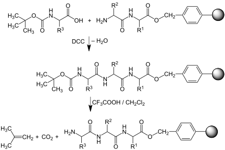 Peptidpropagation: Bildung eines immobilisierten Tripeptidesters.