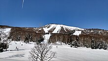 焼額山（東側斜面）