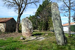 Image illustrative de l’article Menhirs de Pierre-Levée