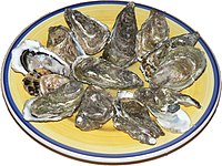 Raw oysters