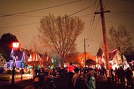 Lights on Peacock Lane