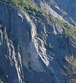 Rockslide scar in Yosemite Valley