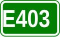 E403 shield