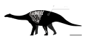 Thyreosaurus