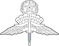 Master Military Freefall Parachutist Badge