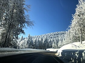 Bursa (province)