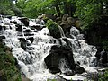 Image 39Waterfall at Virginia Water on the north-western (Berkshire) border (from Portal:Surrey/Selected pictures)