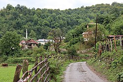 View of the villae