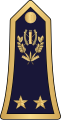 Général de brigade (Burkina Faso Ground Forces)[15]