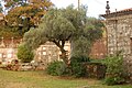 Adro da Igrexa parroquial de Santa María.