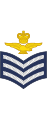 Flight sergeant aircrew Royal Air Force[19]