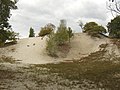 Butte d'Aumont en forêt d'Halatte.