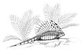 Edaphosaurus