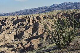 Erosion dans les badlands