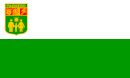 Drapeau de Radnevo