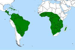 Distribución mundial de Genlisea