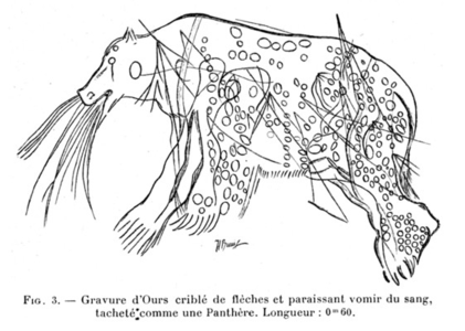 Gravure d'ours blessé/mourant.